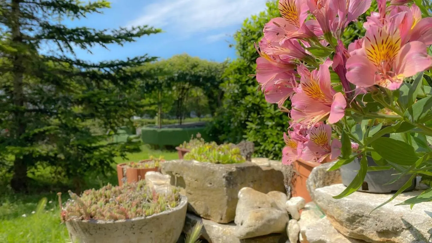 Apartment Ferienwohnung Beni Novigrad Istria Kroatien
